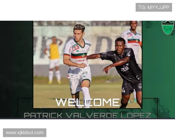 北美体育联赛停播原因（北美体育联赛停播原因是什么）sports